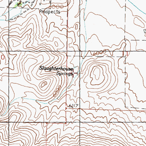 Topographic Map of Slaughterhouse Springs, ID