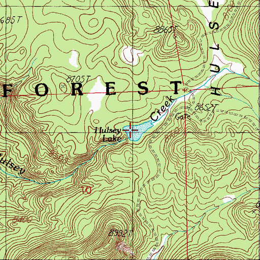 Topographic Map of Hulsey Lake, AZ