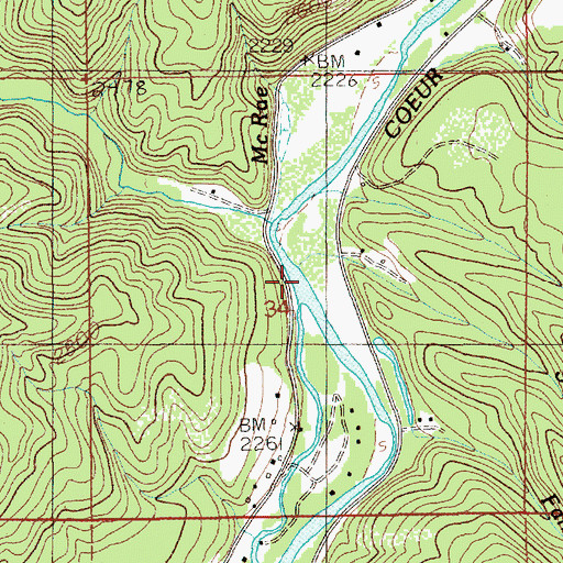 Topographic Map of Smith Creek, ID