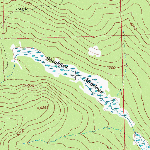 Topographic Map of Sneakfoot Meadows, ID