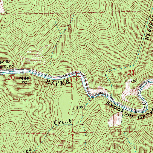 Topographic Map of Skookum Canyon, ID