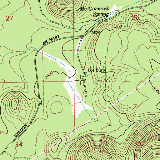 Topographic Map of Los Burros Ranger Station, AZ