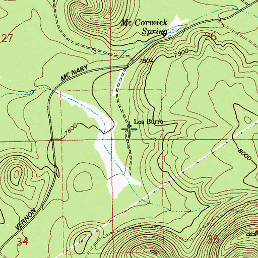 Topographic Map of Los Burros Spring, AZ
