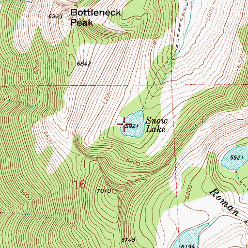Topographic Map of Snow Lake, ID