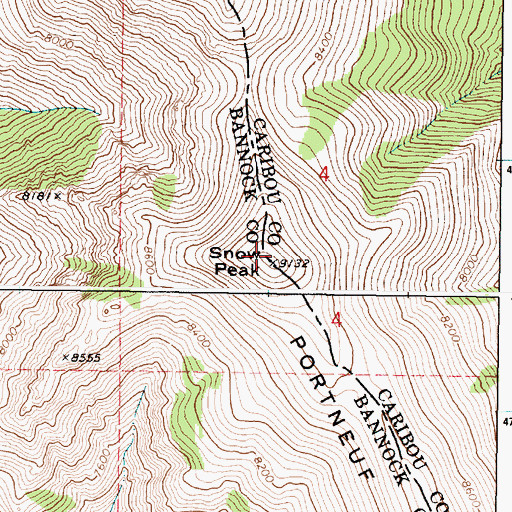 Topographic Map of Snow Peak, ID