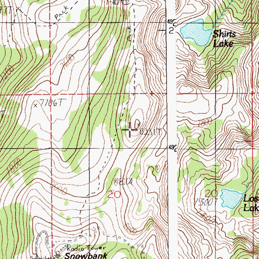 Topographic Map of Snowbank Mountain, ID