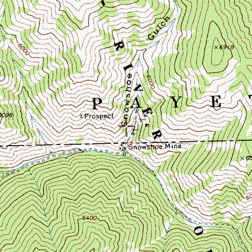 Topographic Map of Snowshoe Mine, ID