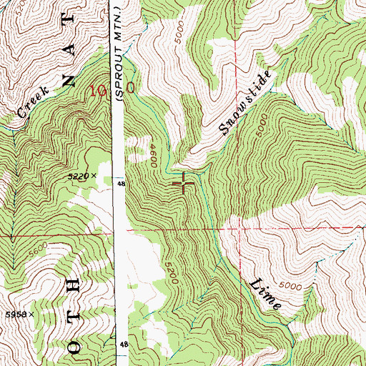 Topographic Map of Snowslide Creek, ID