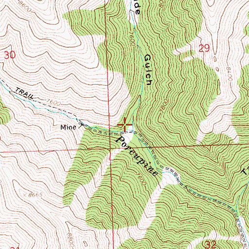 Topographic Map of Snowslide Gulch, ID