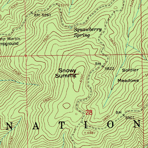 Topographic Map of Snowy Summit, ID