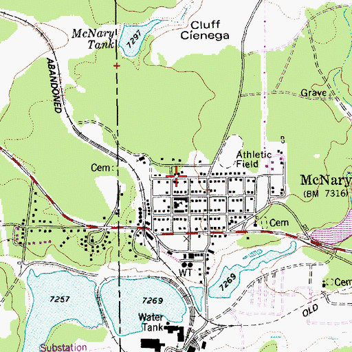 Topographic Map of McNary Annex School, AZ