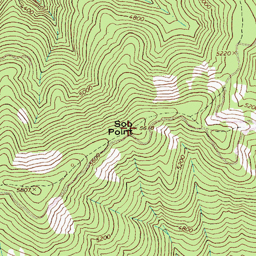 Topographic Map of Sob Point, ID
