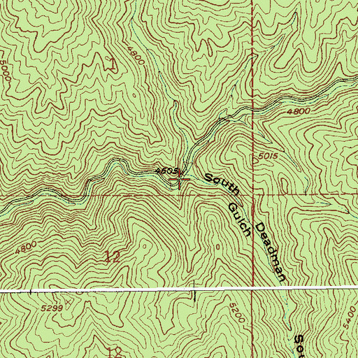 Topographic Map of South Deadman Gulch, ID