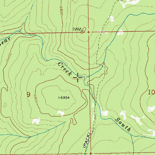 Topographic Map of South Fork Bear Creek, ID