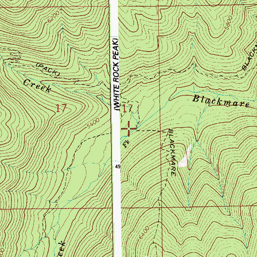 Topographic Map of South Fork Blackmare Creek, ID