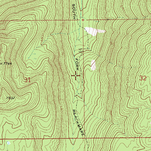 Topographic Map of South Fork Blackmare Cutoff, ID