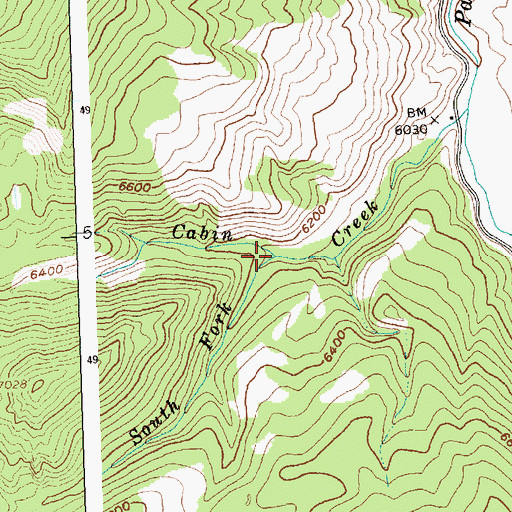 Topographic Map of South Fork Cabin Creek, ID