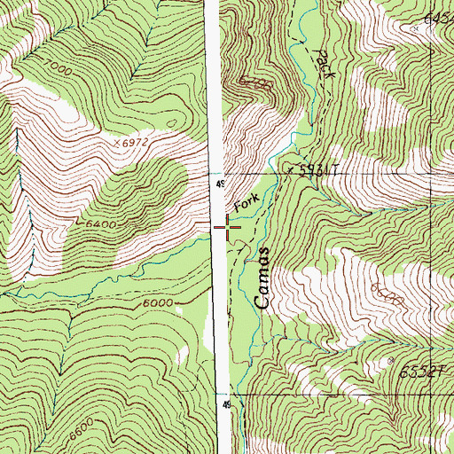 Topographic Map of South Fork Camas Creek, ID