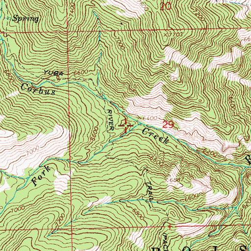 Topographic Map of South Fork Corbus Creek, ID