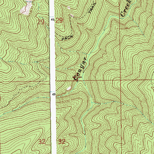 Topographic Map of South Fork Cougar Creek, ID