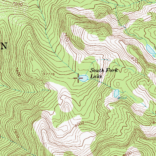 Topographic Map of South Fork Lake, ID
