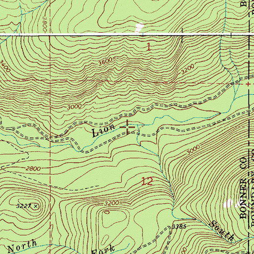 Topographic Map of South Fork Lion Creek, ID