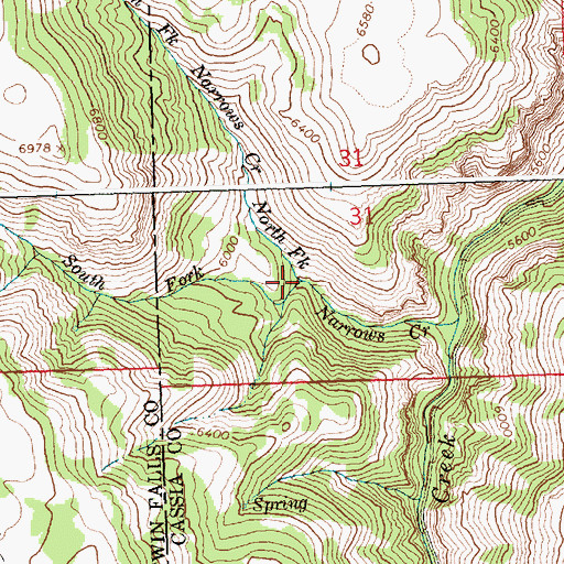 Topographic Map of South Fork Narrows Creek, ID
