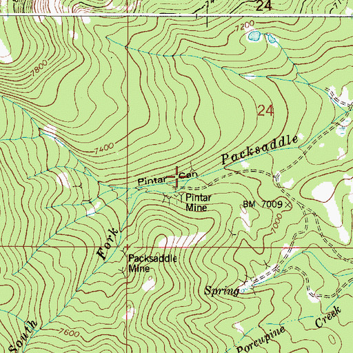 Topographic Map of South Fork Packsaddle Creek, ID