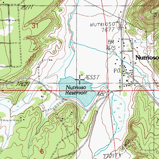 Topographic Map of Nutrioso Dam, AZ