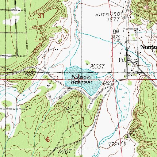Topographic Map of Nutrioso Reservoir, AZ