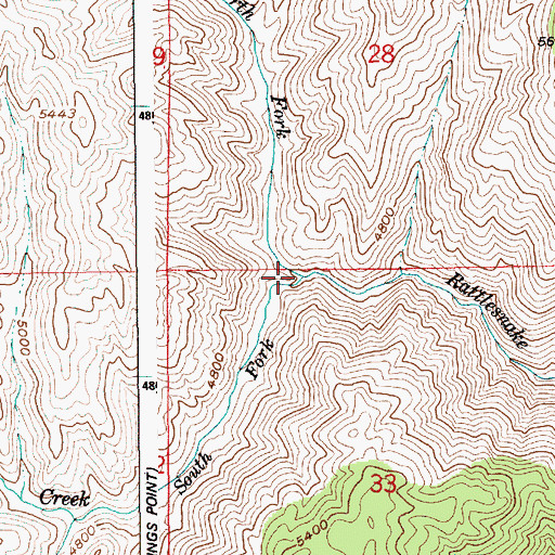 Topographic Map of South Fork Rattlesnake Creek, ID