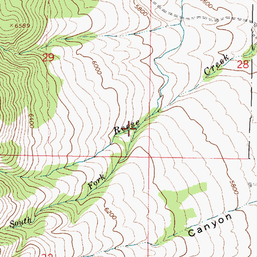 Topographic Map of South Fork Reese Creek, ID