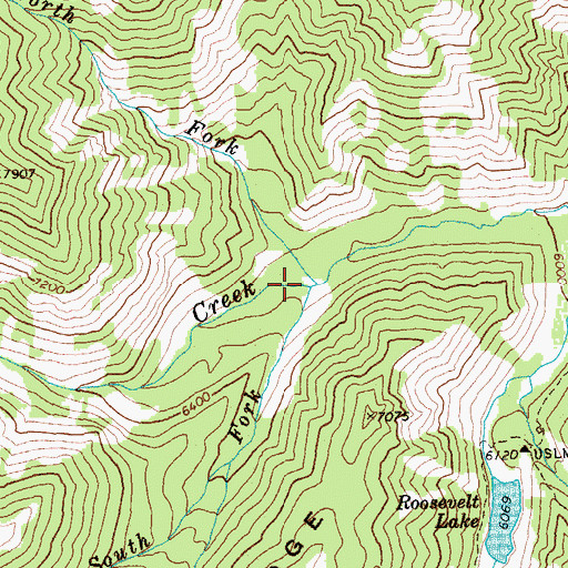 Topographic Map of South Fork Trap Creek, ID