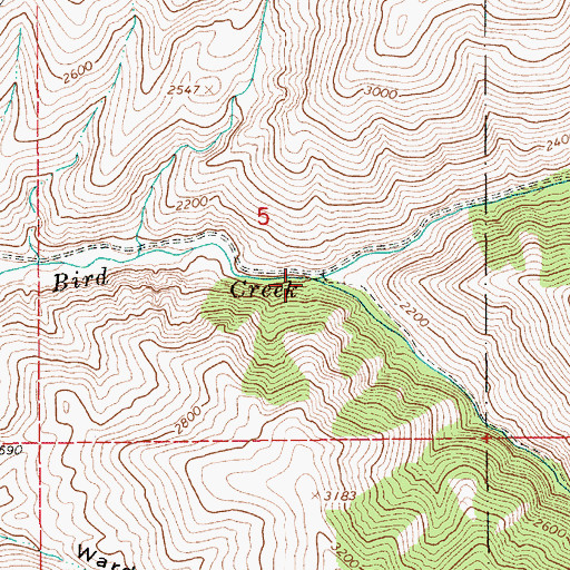 Topographic Map of South Fork White Bird Creek, ID