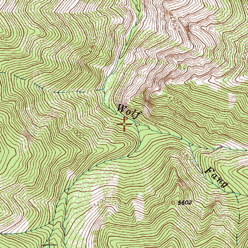 Topographic Map of South Fork Wolf Fang Creek, ID
