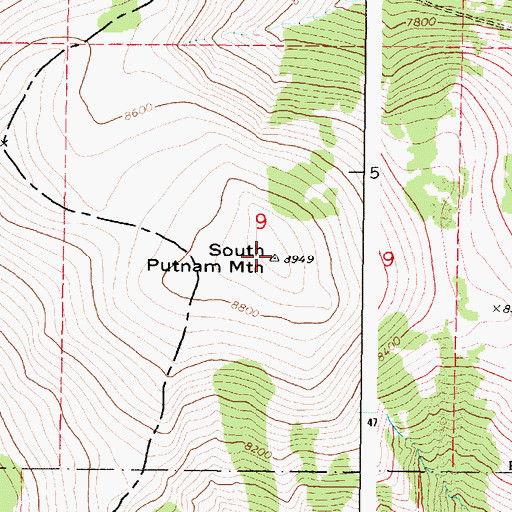 Topographic Map of South Putnam Mountain, ID