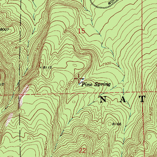 Topographic Map of Pine Spring, AZ