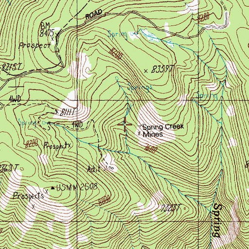 Topographic Map of Spring Creek Mines, ID
