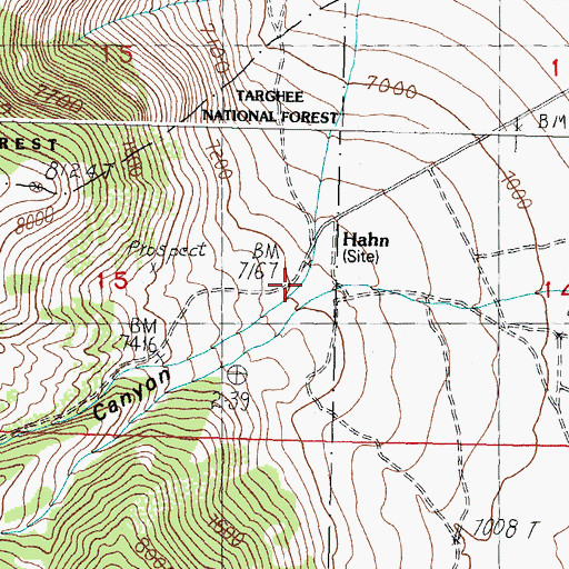 Topographic Map of Spring Mountain Canyon, ID