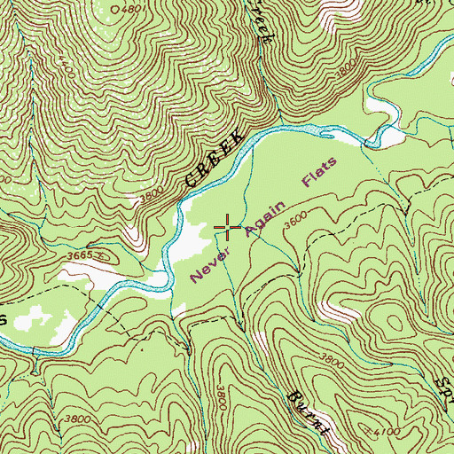Topographic Map of Spruce Creek, ID