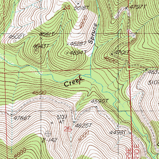 Topographic Map of Spruce Creek, ID