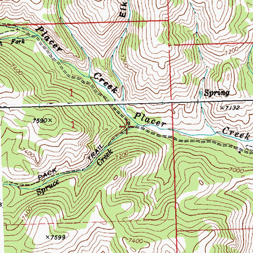 Topographic Map of Spruce Creek, ID