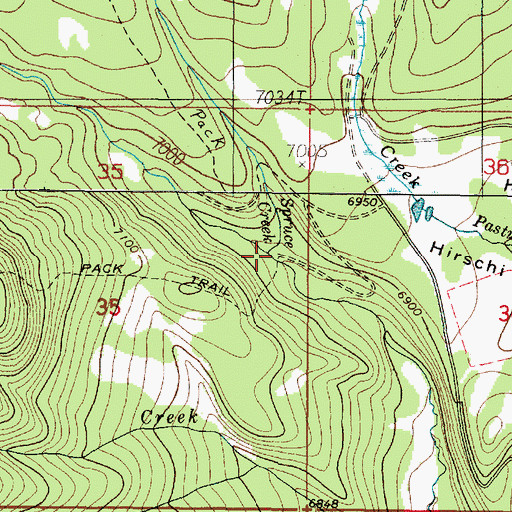 Topographic Map of Spruce Creek, ID