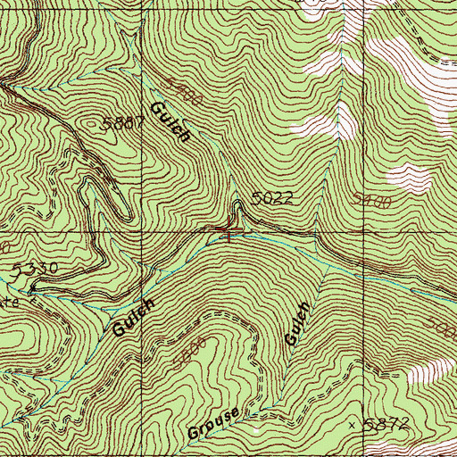Topographic Map of Spruce Gulch, ID