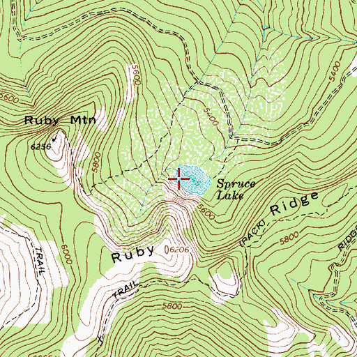 Topographic Map of Spruce Lake, ID