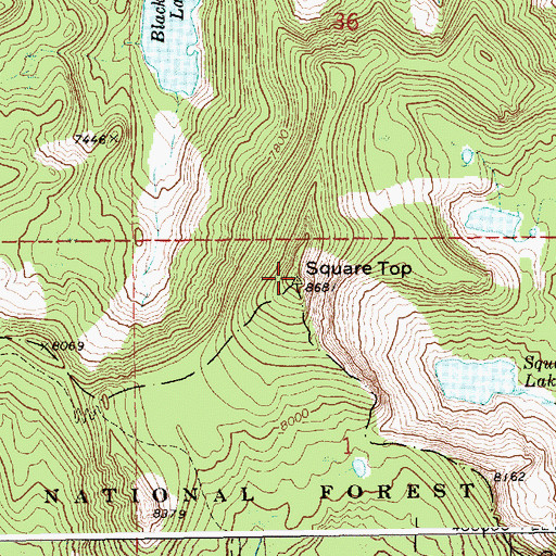Topographic Map of Square Top, ID