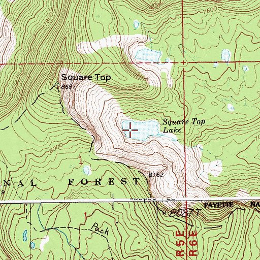 Topographic Map of Square Top Lake, ID
