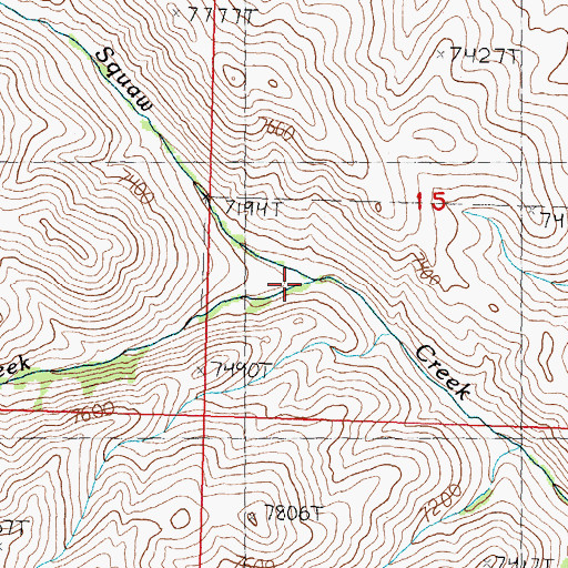 Topographic Map of Squaw Creek, ID