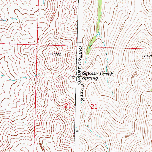 Topographic Map of Squaw Creek Spring, ID