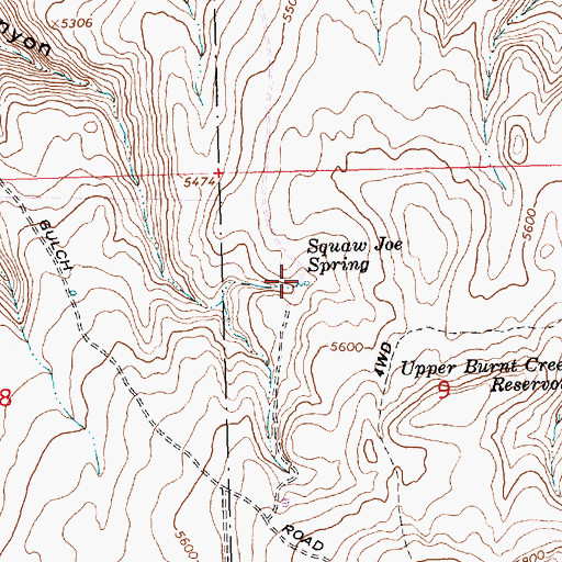 Topographic Map of Squaw Joe Spring, ID